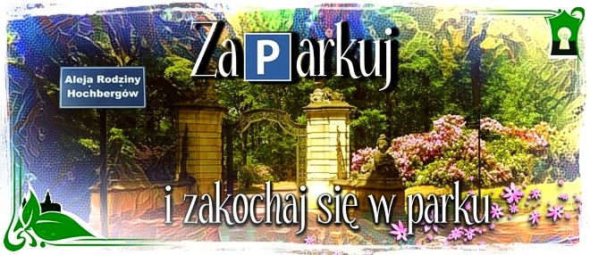 Wizyta w zamku? Radzimy, gdzie zaparkować!