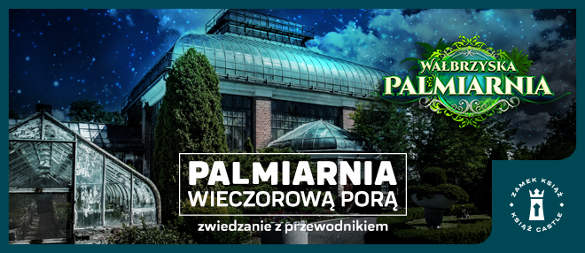 Palmiarnia wieczorową porą 