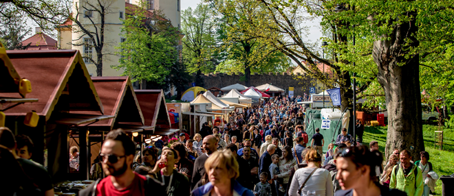 Zostań wystawcą podczas Festiwalu Kwiatów i Sztuki