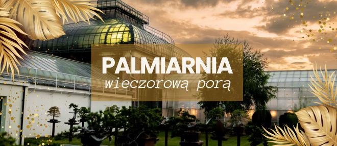 Palmiarnia wieczorową porą