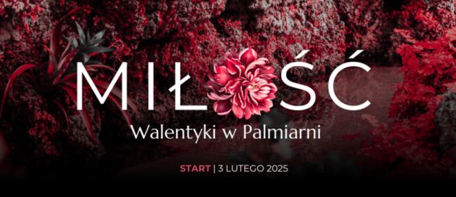 Walentynki w Palmiarni