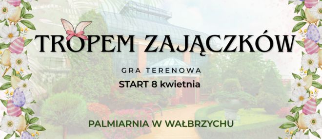 Tropem Zajączków 