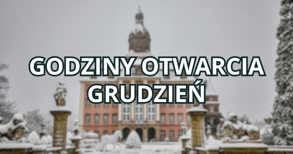Godziny otwarcia grudzień