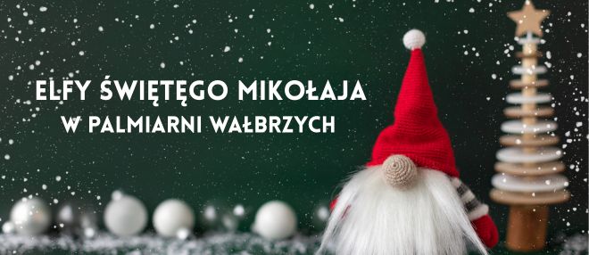 Gra terenowa w Palmiarni Elfy Świętego Mikołaja 