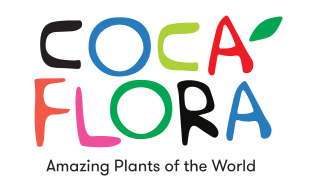 Coca Flora